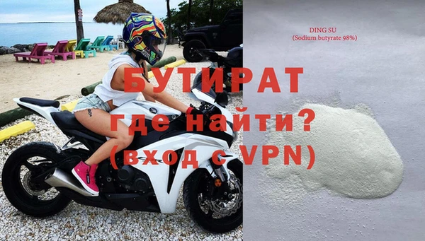хмурый Пересвет